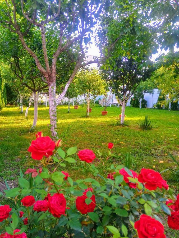 Apartmani Jasmina 2 บีฮัช ภายนอก รูปภาพ