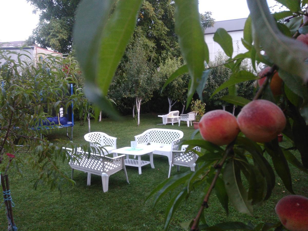Apartmani Jasmina 2 บีฮัช ภายนอก รูปภาพ