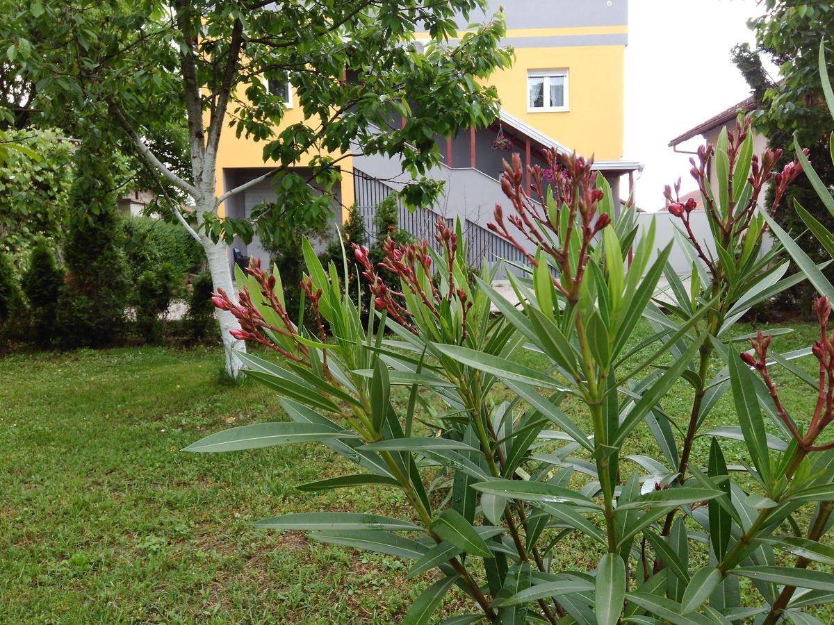Apartmani Jasmina 2 บีฮัช ภายนอก รูปภาพ