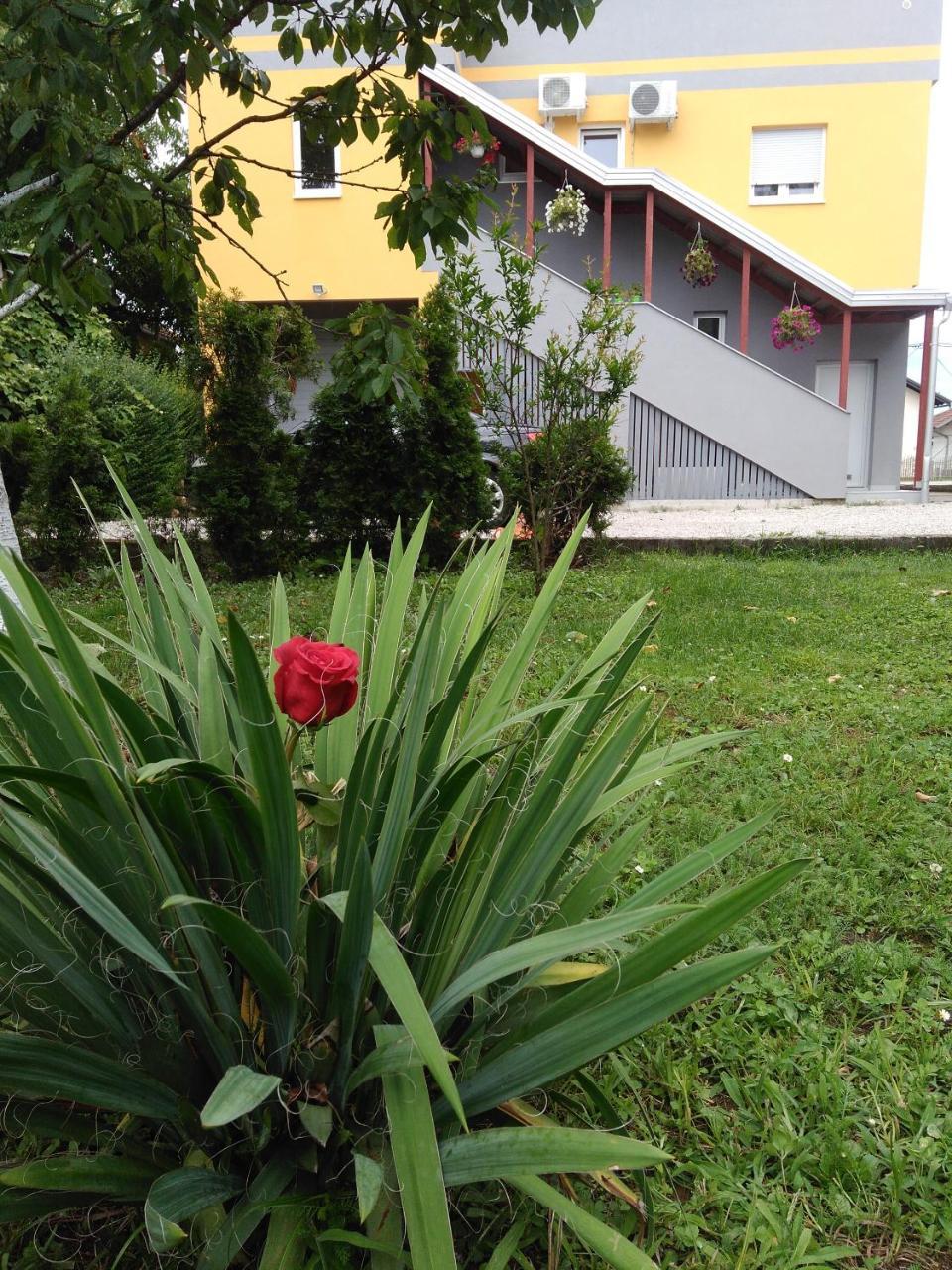 Apartmani Jasmina 2 บีฮัช ภายนอก รูปภาพ